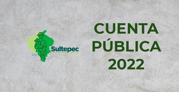 CUENTA PUBLICA 2022